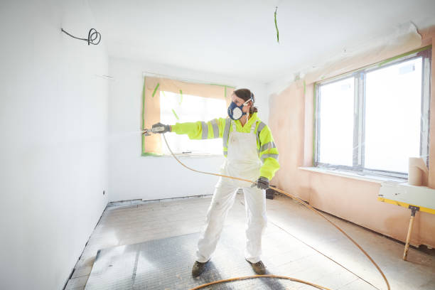Best Basement Mold Removal  in Lake Ronkonkoma, NY