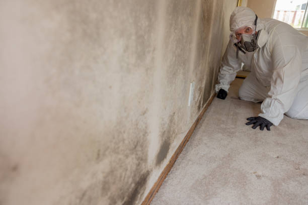 Best Biohazard Mold Removal  in Lake Ronkonkoma, NY